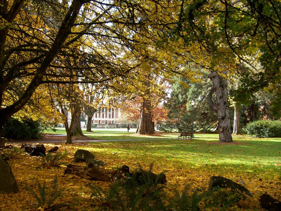 Oregon State University International Degree Program