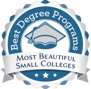 Small Colleges