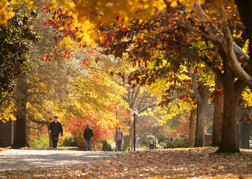vanderbilt-aboretum-landmarks-small-colleges