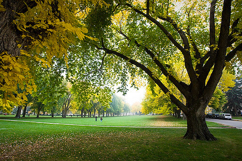 Colorado State University - Best Online Bachelor’s Degrees In Marketing