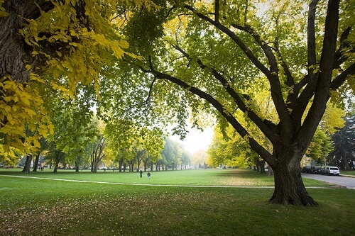Colorado State University - online bachelor’s in anthropology degree