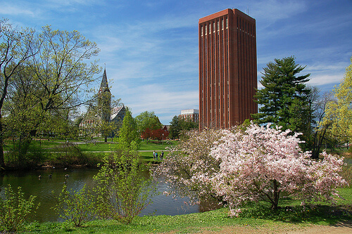 University of Massachusetts - Online Bachelor’s in Special Education