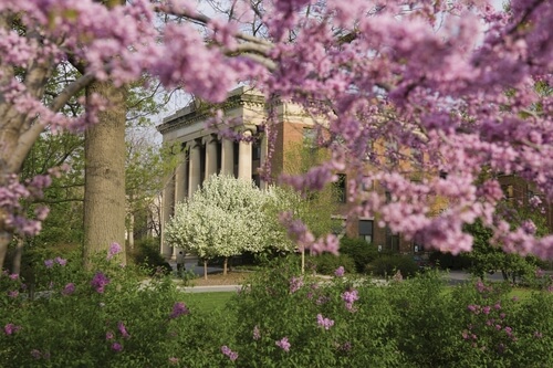 University of Nebraska - Online Bachelor's in Special Education