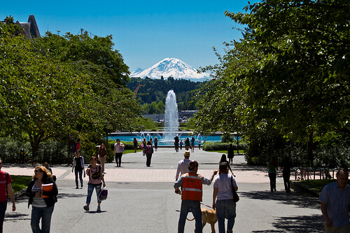 University of Washington - Online Bachelor’s in Special Education