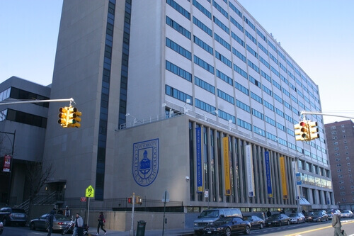 CUNY School of Professional Studies - Best Online Bachelor’s Degrees In Sociology