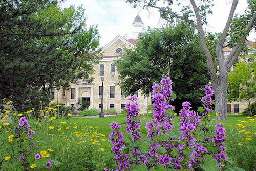 Fort Hays State University - Best Online Bachelor’s Degrees In Sociology