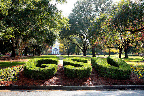Georgia Southern University - Online Bachelor’s Degrees In Economics