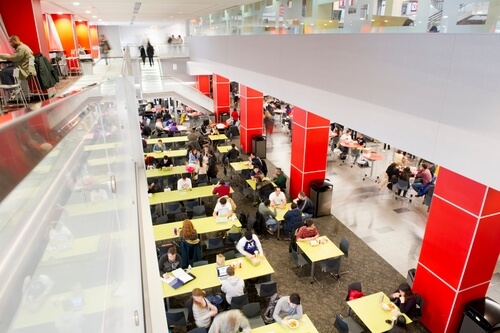 Northeastern University - Online Bachelor’s Degrees In English