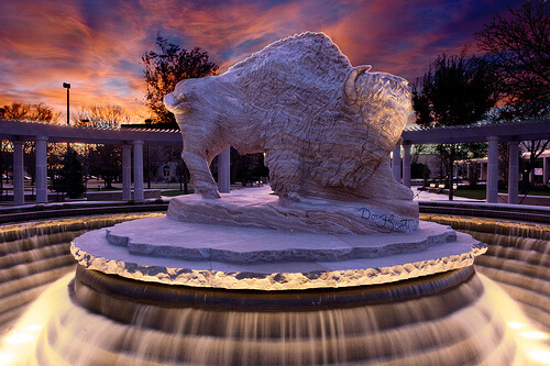 West Texas A&M - Online Bachelor’s Degrees In Economics