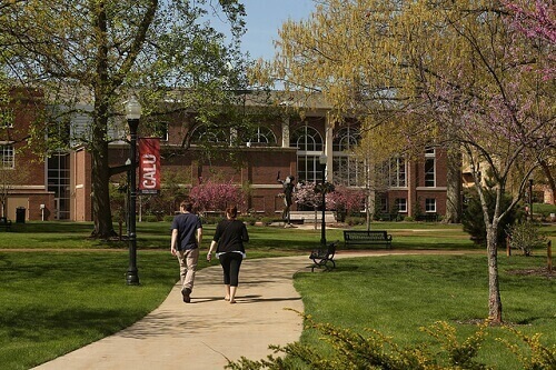 california-university-of-pennsylvania-online-bachelors-degrees-in-sport-management