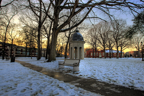 east-carolina-university-online-bachelors-degrees-in-elementary-education