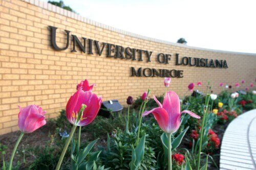 university-of-louisiana-monroe-online-bachelors-degrees-in-elementary-education