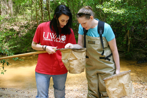 university-of-west-alabama