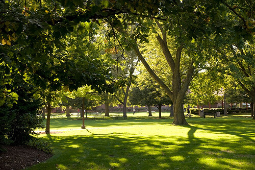 lewis-university-online-bachelors-degrees-in-computer-engineering