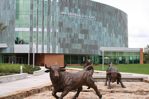 university-of-south-florida-online-bachelors-degrees-in-health-sciences