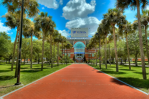 University of Florida - Best Online Bachelor’s in Psychology