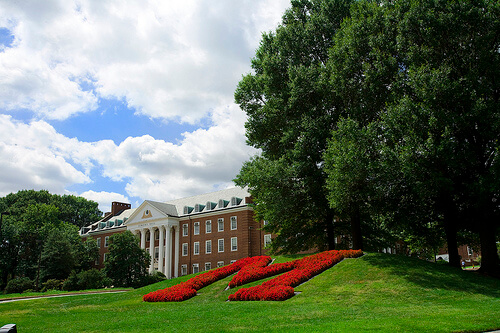 University of Maryland - Best Online Bachelor’s in Psychology