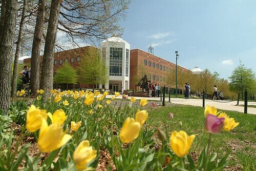 George Mason University - Online Bachelor’s in Information Technology