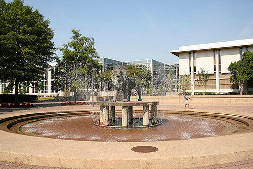 Old Dominion University - Online Bachelor’s in Information Technology