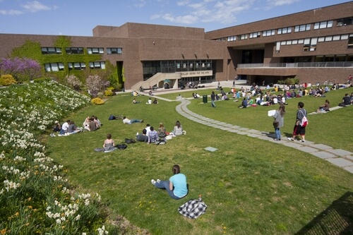 Stony Brook University - Online Bachelor’s in Electrical Engineering