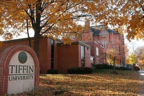 Tiffin University - Online Bachelor’s in Information Technology