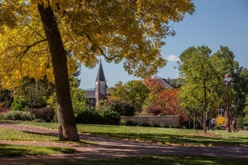 University of Denver - Online Bachelor’s in Information Technology