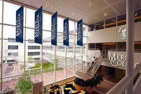 Mercy College - 30 Best Online Bachelor’s in Healthcare Administration