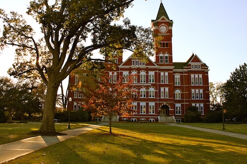 Auburn University - 30 Best Online Bachelor’s in Accounting