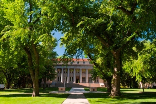 Colorado State University - Online Bachelor’s in Fire and Emergency Services Degree Programs