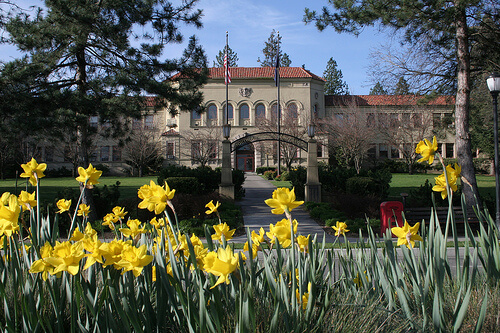 Southern Oregon University - 30 Best Online Bachelor’s in Accounting