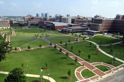University of Alabama - 30 Best Online Bachelor’s in Accounting