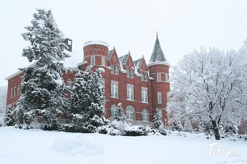 Washington State University - 30 Best Online Bachelor’s in Accounting