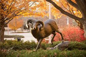 Colorado State University - 30 Best Online Bachelor’s in Advertising or Public Relations