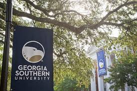 Georgia Southern University - Online Bachelor's in Nursing (BSN)