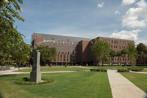 Loyola University - Online Bachelor's in Nursing (BSN)