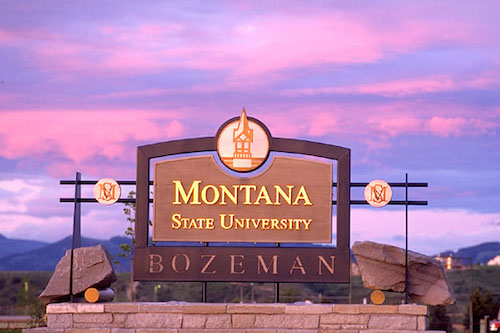 Montana State University - 30 Best Online Bachelor’s in Advertising or Public Relations
