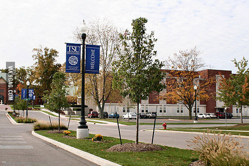 Trine - Affordable Online Bachelor’s in Business Administration