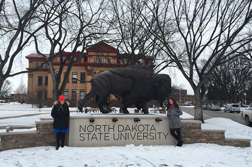 North Dakota State - Online RN to BSN Degrees