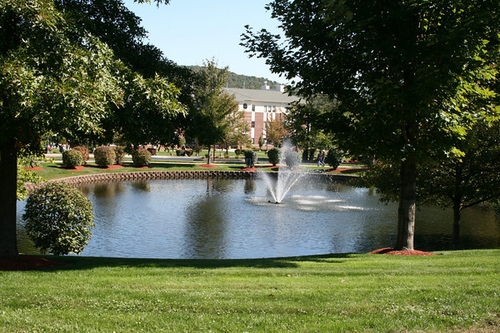 Dominican College - Online Bachelor’s in Psychology Degrees
