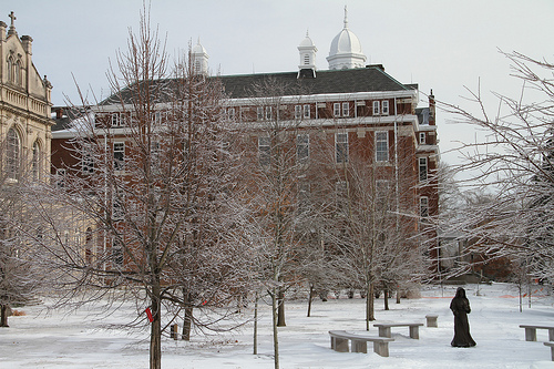 Saint Mary of the Woods - Online Bachelor’s in Psychology Degrees