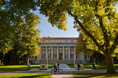 Colorado State - Online Bachelor’s in Healthcare Administration
