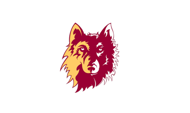 Northern State - 20 Most Affordable Online Bachelor’s in Foreign Language