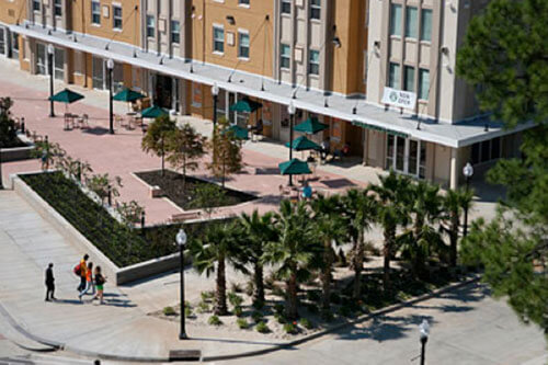 University of Louisiana - Online Bachelor’s in Healthcare Administration