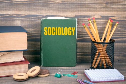 30 Best Bachelor’s in Sociology Online Degrees