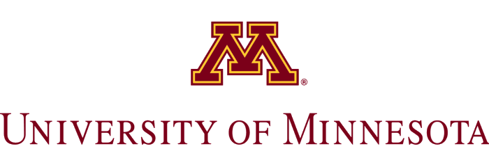 University of Minnesota - 30 Best Online Bachelor’s in Accounting