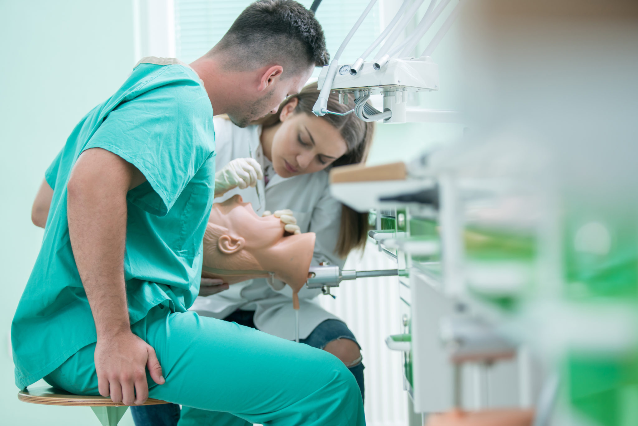 What to Major in to a Dentist Best Degree Programs