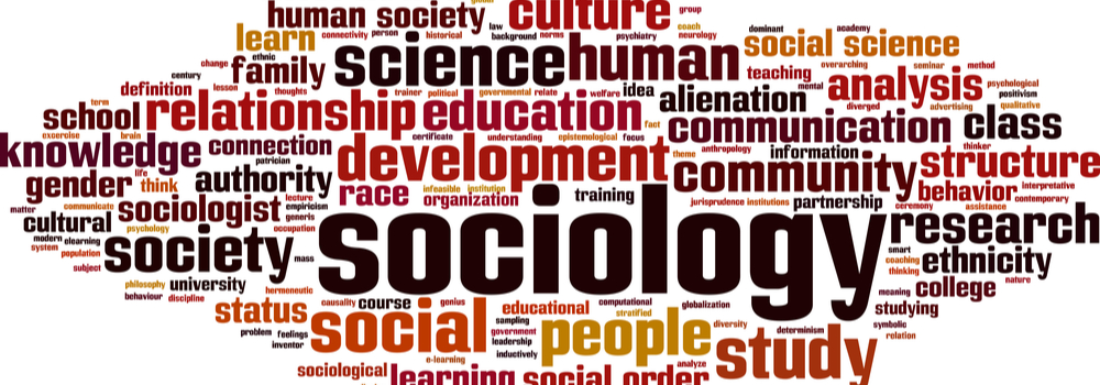 sociology internship