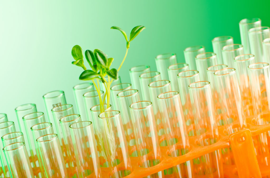 An image of an experiment for our FAQ on What is the Best Degree Path to Becoming an Environmental Engineer