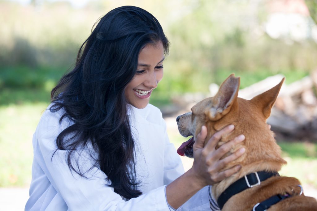 An image of an animal care worker for our FAQ on What’s the Best Degree Path to Becoming an Animal Care Worker