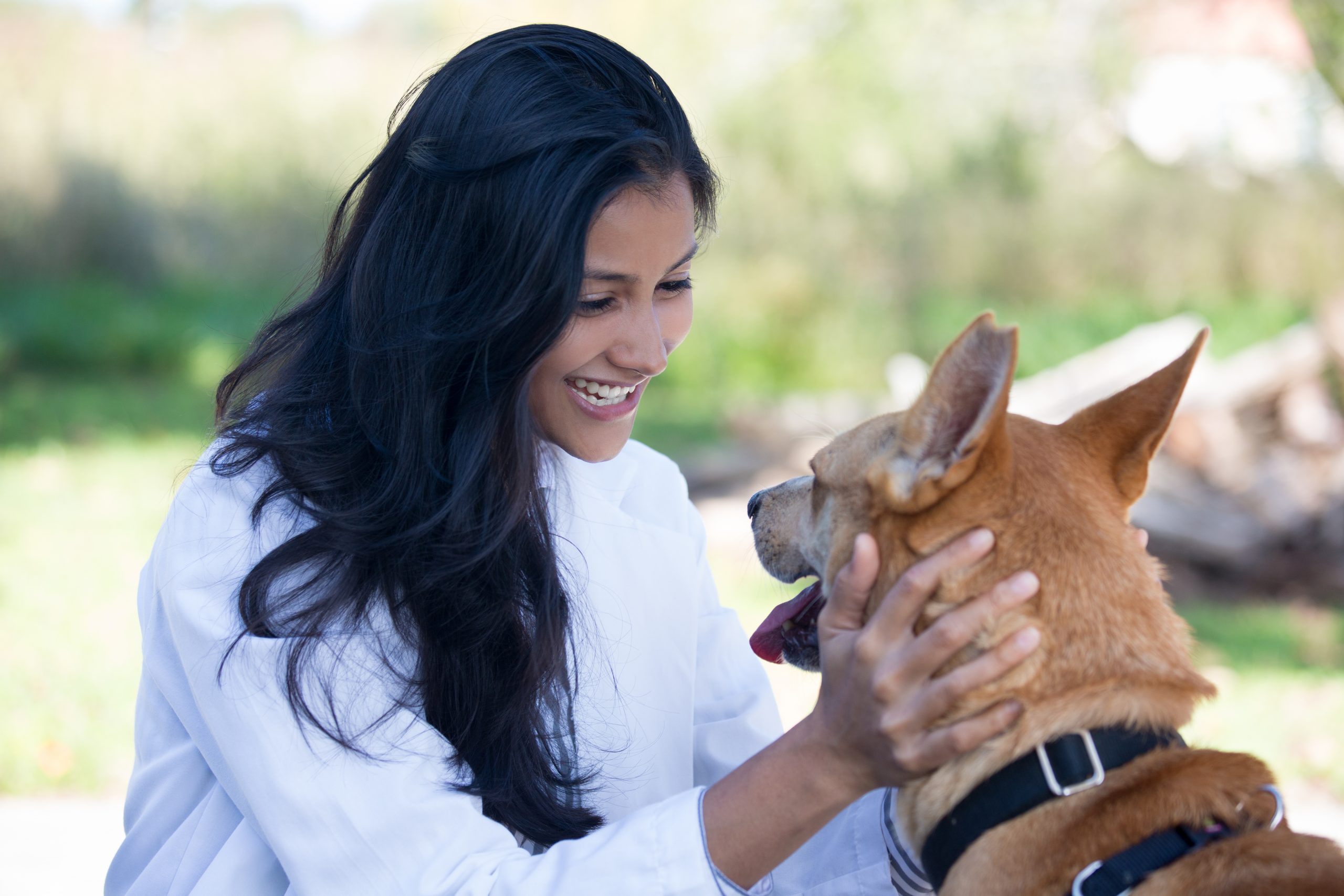 What is the Best Degree for Becoming an Animal Care Worker?